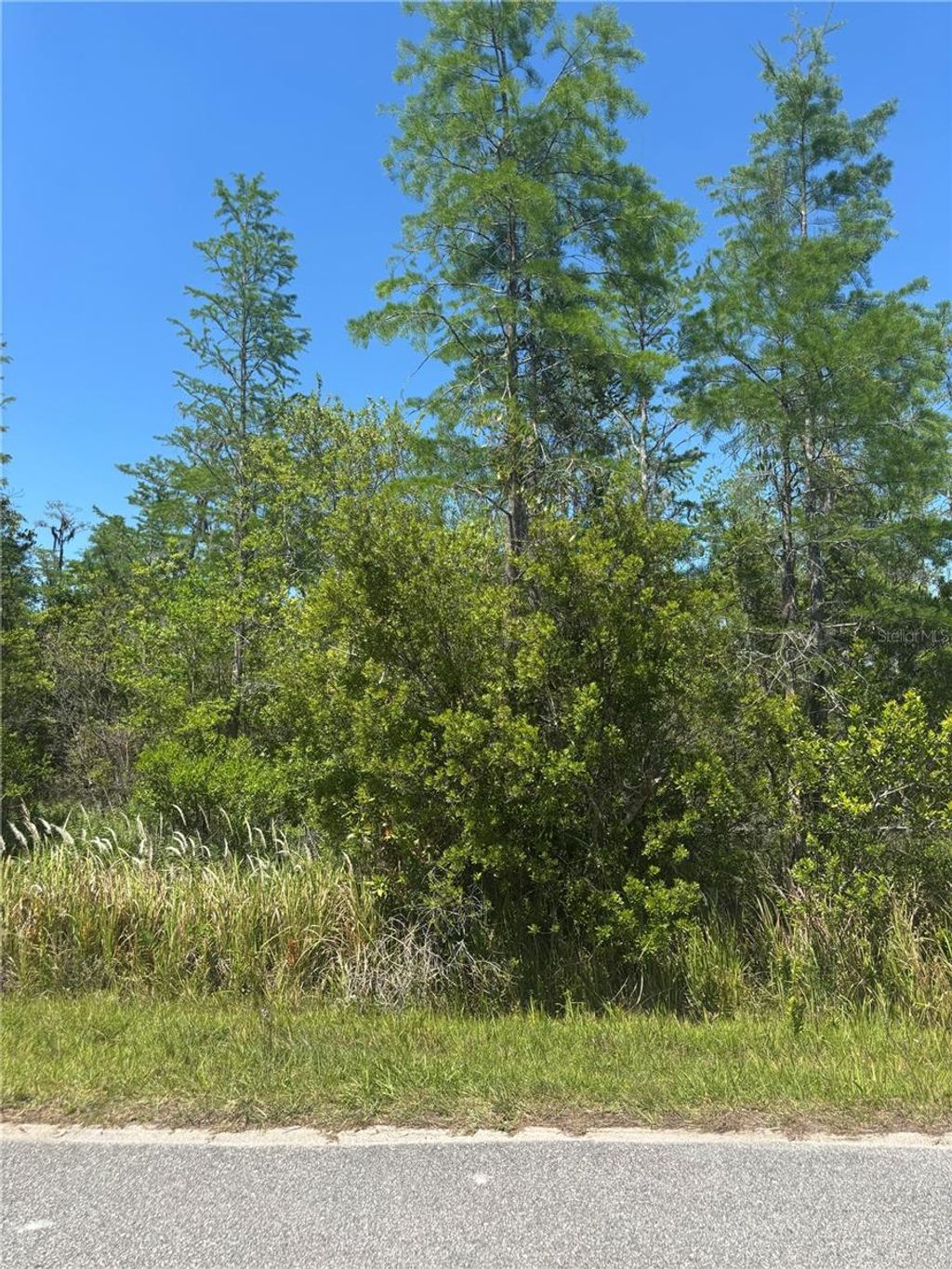 Photo of Atlas Drive, Saint Cloud, FL 34773 (MLS # S5148037)