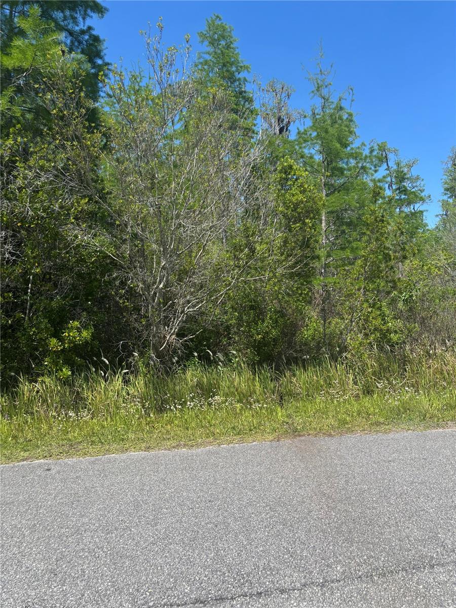 CANAVERAL ACRES 2 - Land