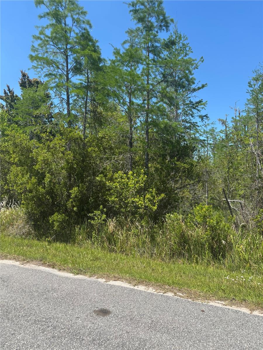 CANAVERAL ACRES 2 - Land