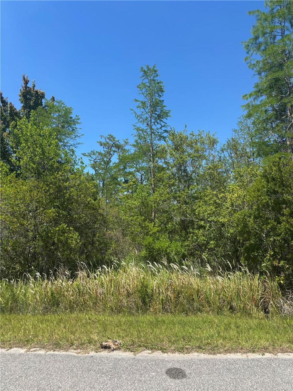 Photo of Atlas Drive, Saint Cloud, FL 34773 (MLS # S5148037)
