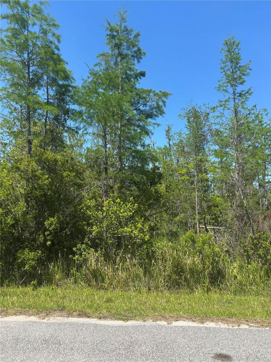 A gorgeous piece of land is just waiting for new owners to build their dream home or placing a manufactured or mobile home on 1.85 acres, The lot is not waterfront and will require a well and septic system. There are electrical installations nearby, street lights and telephone facilities nearby. Rural location with convenient access to St, Cloud amenities and Osceola County services. The lot is located close to Melbourne Beach and Orlando City. YOU MUST SEE.!