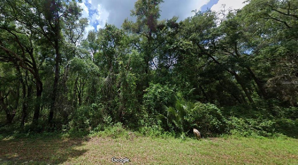 Photo of Hernando, FL 34442 (MLS # O6246032)
