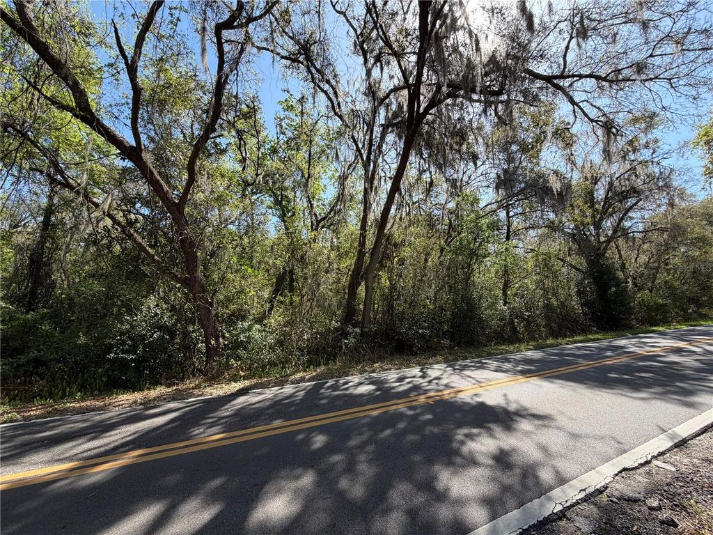 Photo of Scharber, Dade City, FL 33525 (MLS # TB8484748)