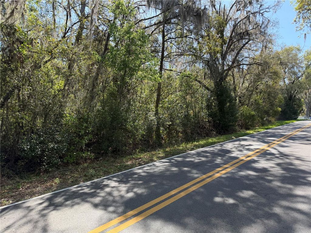 Photo of Scharber, Dade City, FL 33525 (MLS # TB8484748)