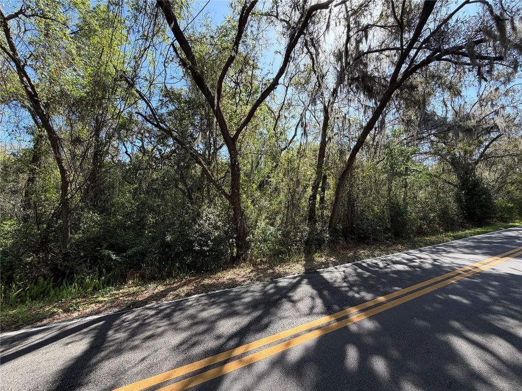 Photo of Scharber, Dade City, FL 33525 (MLS # TB8484748)