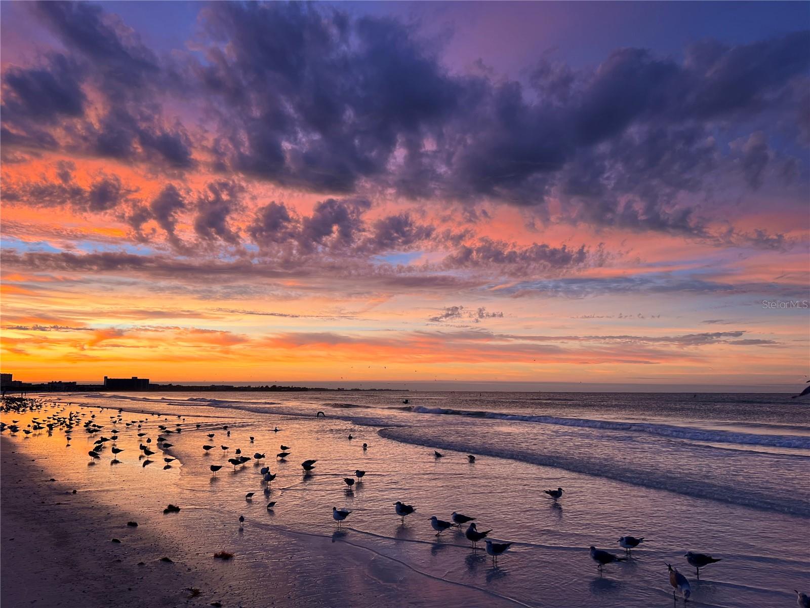 HAMILTON CLUB - Residential