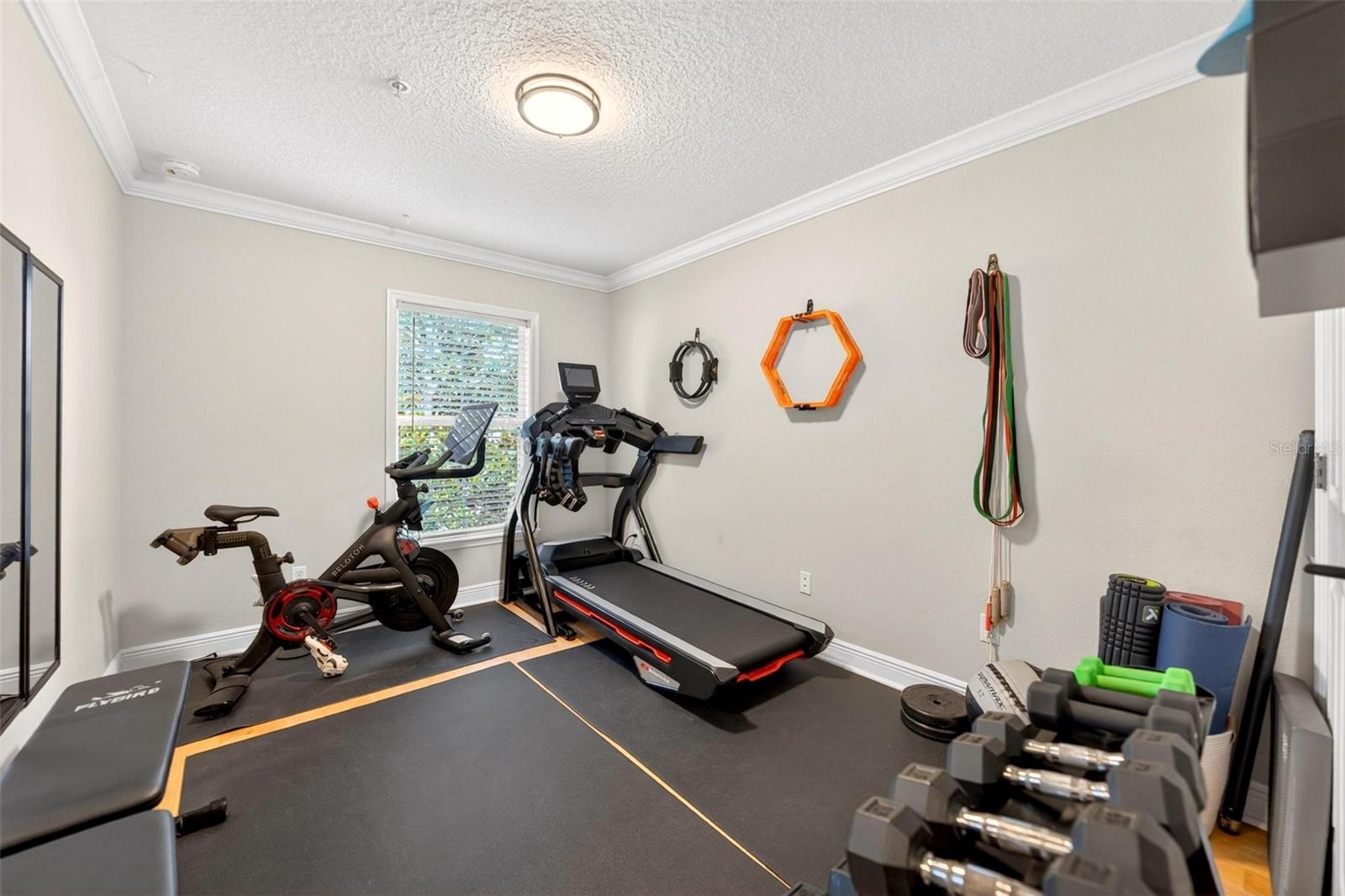 ENCLAVE AT MAITLAND - Residential