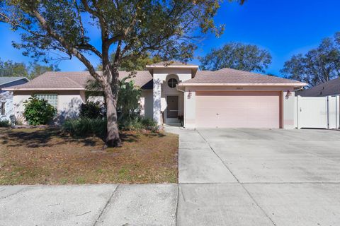 A home in RIVERVIEW