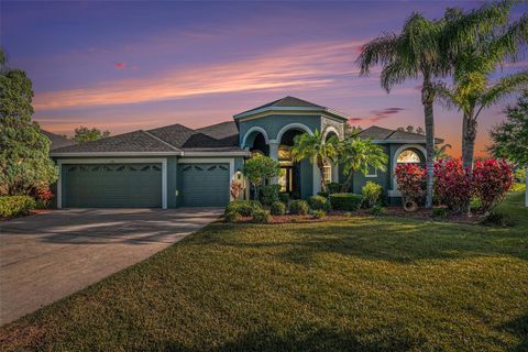 A home in LAND O LAKES