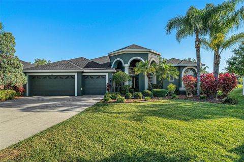 A home in LAND O LAKES