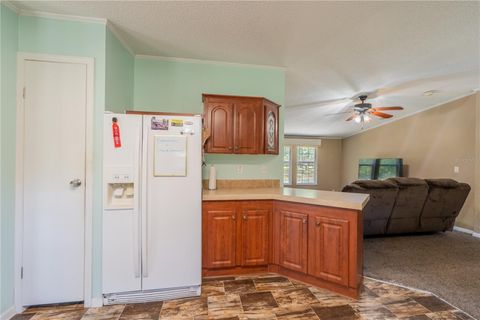 Tiny photo for 7392 NE 192nd Place, Citra, FL 32113 (MLS # OM728186)