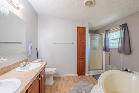 Tiny photo for 7392 NE 192nd Place, Citra, FL 32113 (MLS # OM728186)