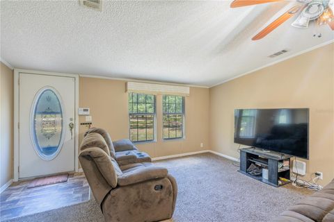 Tiny photo for 7392 NE 192nd Place, Citra, FL 32113 (MLS # OM728186)