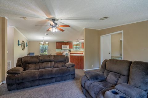 Tiny photo for 7392 NE 192nd Place, Citra, FL 32113 (MLS # OM728186)
