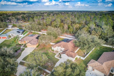 A home in RIVERVIEW