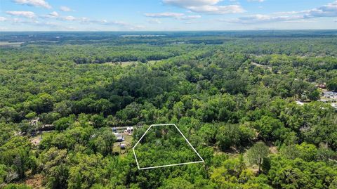 0 MUDDY WATER TRAIL THONOTOSASSA FL 33592