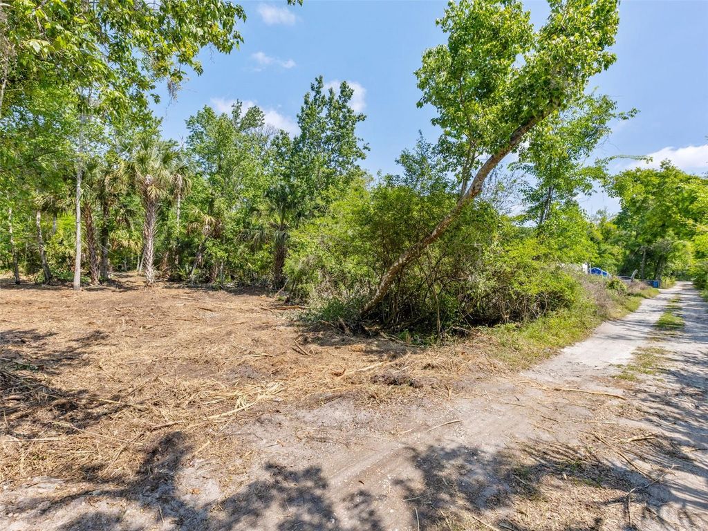 Photo of 0 Muddy Water Trail, Thonotosassa, FL 33592 (MLS # TB8494444)