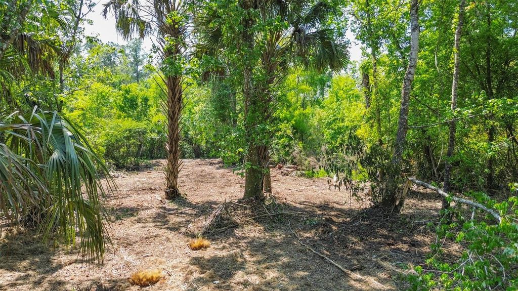 Photo of 0 Muddy Water Trail, Thonotosassa, FL 33592 (MLS # TB8494444)