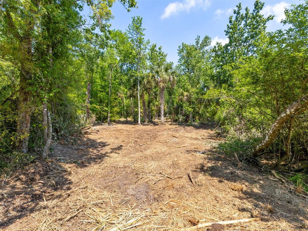 Photo of 0 Muddy Water Trail, Thonotosassa, FL 33592 (MLS # TB8494444)