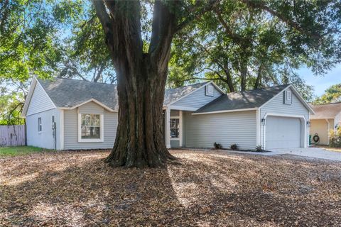 A home in EUSTIS