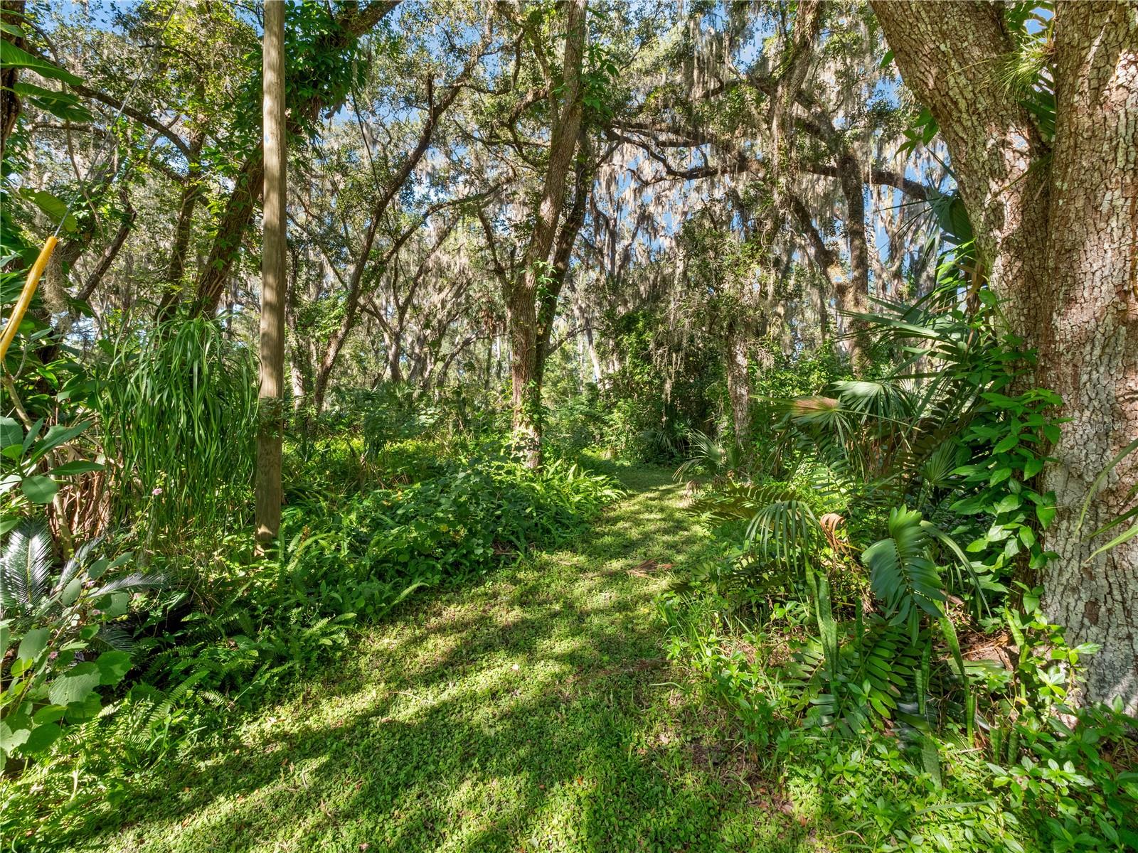 WILSON - Residential