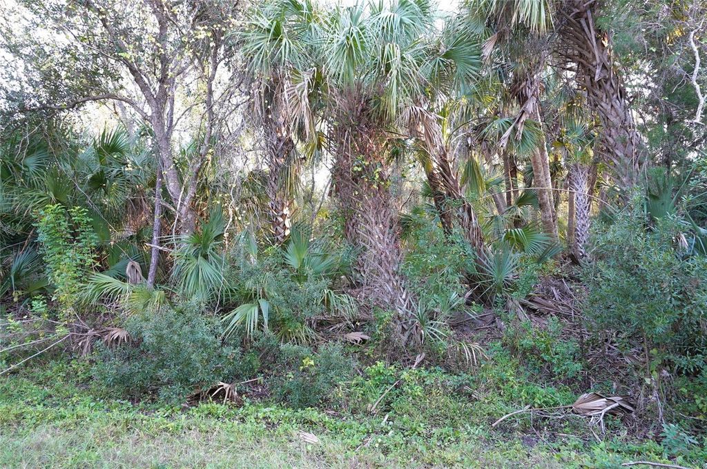 Photo of 14299 Cannell Lane, Port Charlotte, FL 33953 (MLS # C7503190)