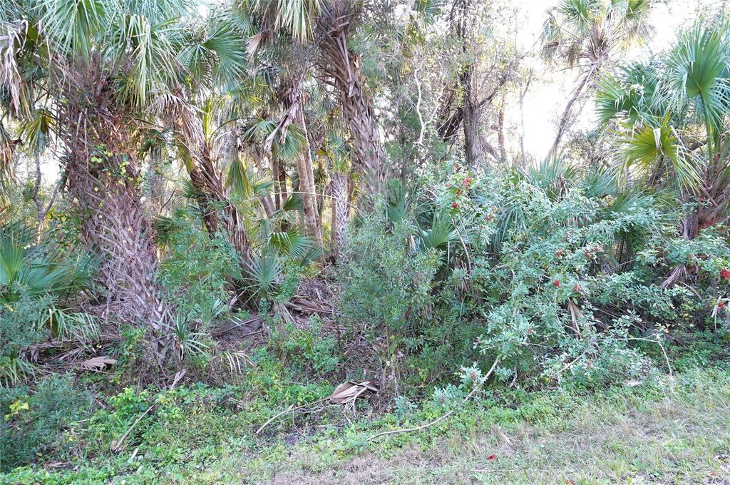 Photo of 14299 Cannell Lane, Port Charlotte, FL 33953 (MLS # C7503190)