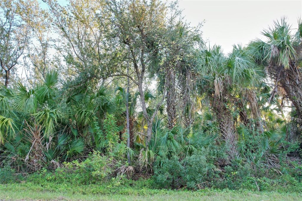 Photo of 14299 Cannell Lane, Port Charlotte, FL 33953 (MLS # C7503190)