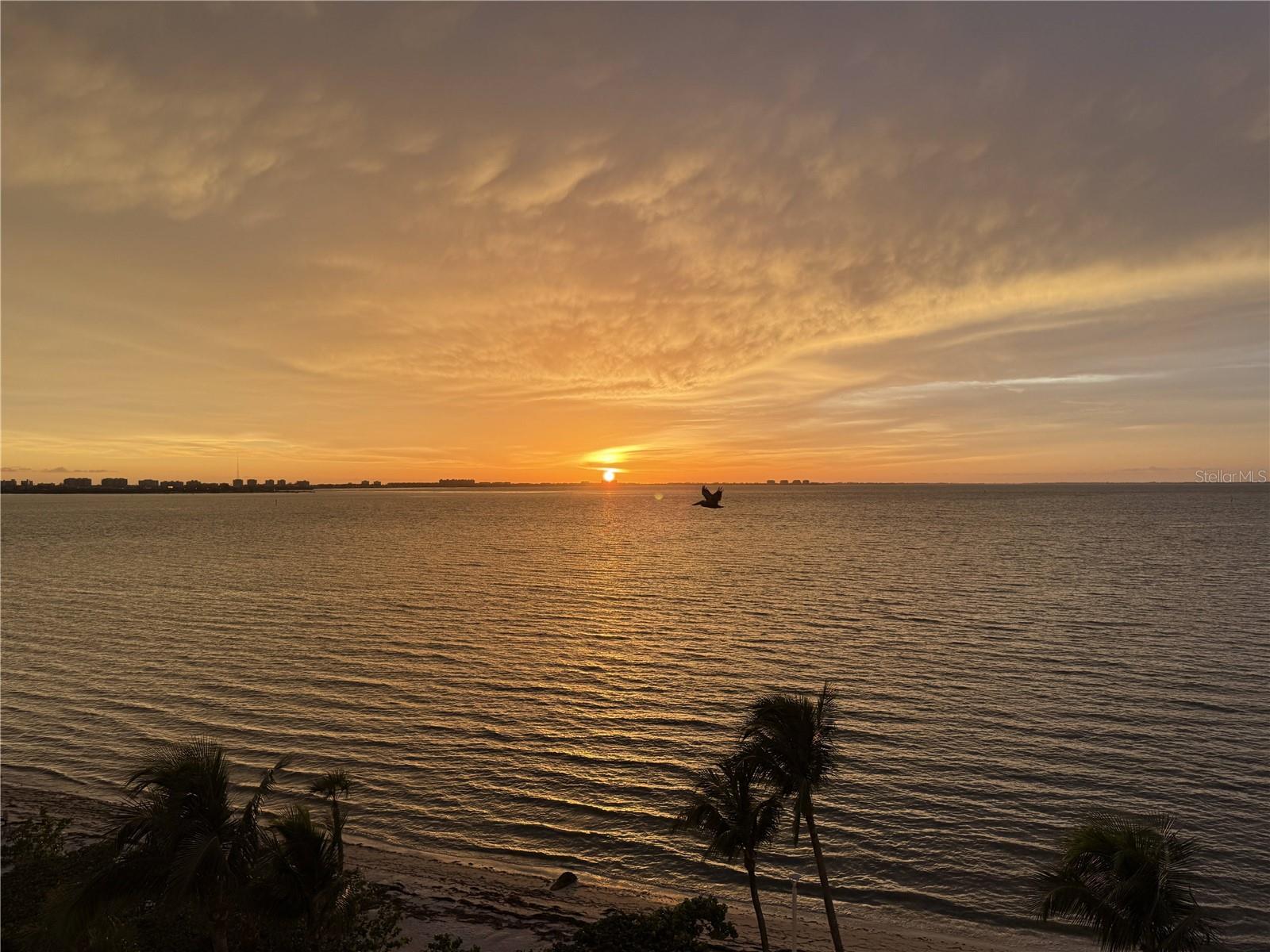 11 SUNSET DRIVE 502
