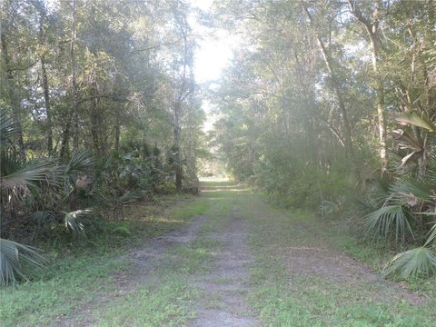 W COUNTY ROAD 2006 WEST W BUNNELL FL 32110