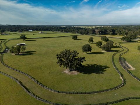 Tiny photo for 2875 NW 150 Avenue, Ocala, FL 34482 (MLS # OM720047)