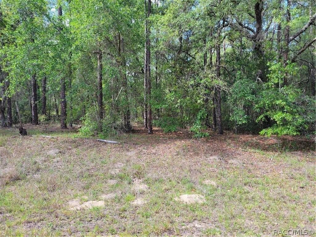 Welcome to 609 E Canturybury Ln, Citrus Springs, FL 34434 — an excellent 80 x 125 ft homesite in the heart of one of Citrus County’s fastest-growing communities. Future homeowners will enjoy no mandatory HOA and the peace of mind of a homes-only deed-restricted community (site-built homes only, no manufactured).
This parcel sits dry in Flood Zone X, with paved road access and Duke Energy electric service nearby. The lot will require onsite well water and septic system, typical for Citrus Springs, with support from the Citrus County Water & Sewer District for resource information. Build at your own pace — there are no time limits to build, and you can choose your own builder.
Citrus Springs is known for its community amenities, including a library, tennis courts, ball fields, and direct access to the 46-mile Withlacoochee State Trail for biking and hiking. Just minutes away, you’ll find Rainbow Springs State Park and Rainbow River, perfect for kayaking, tubing, and swimming in crystal-clear spring water. Shopping, medical offices, and dining in Dunnellon are close by, with easy commutes to Ocala, Crystal River, and the Gulf Coast.
Whether you’re ready to break ground now or want to secure a solid investment for the future, this lot offers the ideal combination of location, utilities, and Florida lifestyle.
* BONUS: Seller has additional lots available in this area Dunnellon/Citrus Springs — ask about package pricing for multiple parcels!
CALL today and turn opportunity into reality!