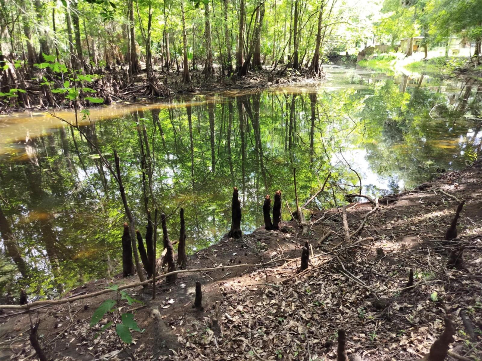 SHERWOOD FOREST UNREC - Land