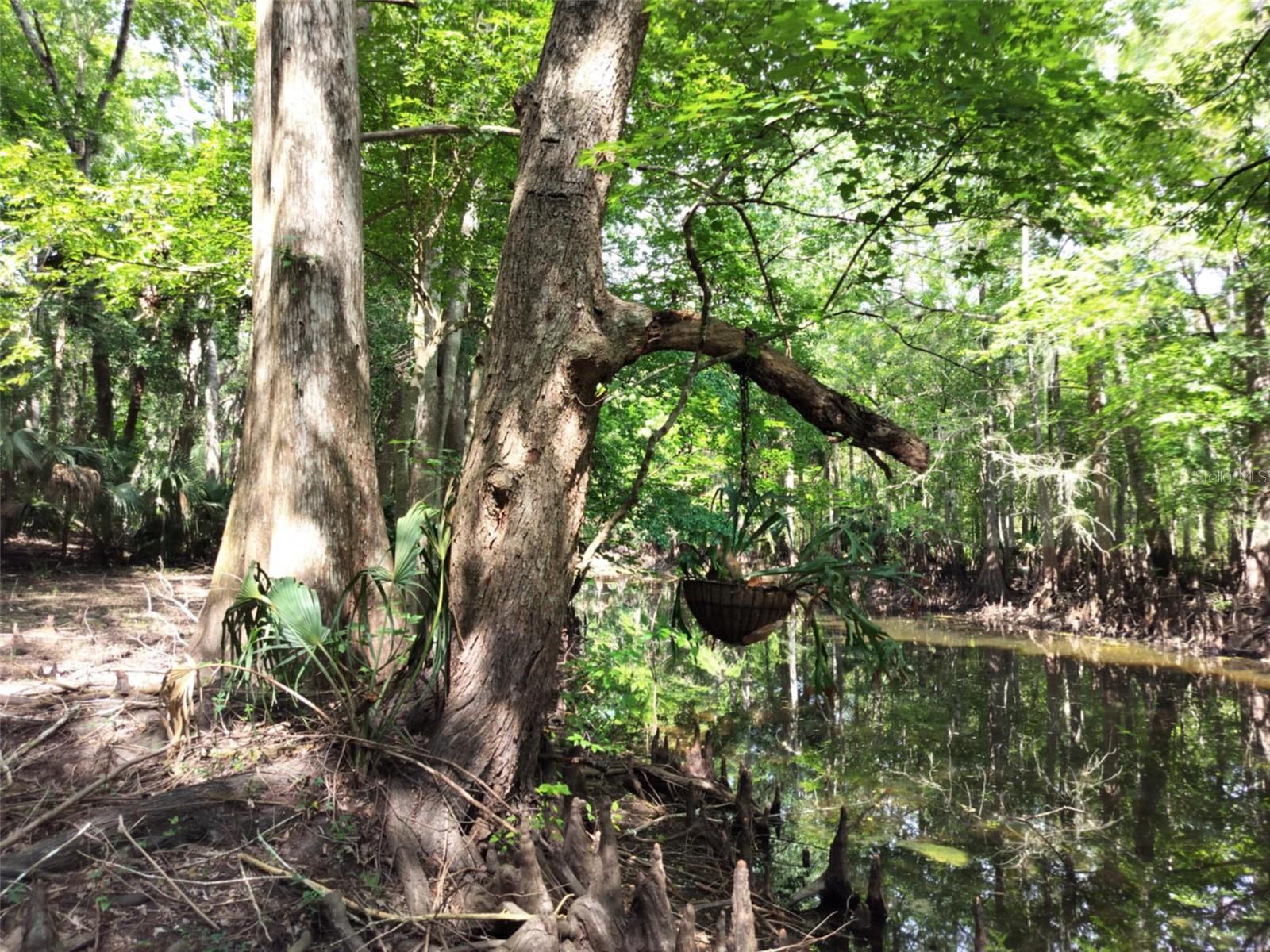 SHERWOOD FOREST UNREC - Land