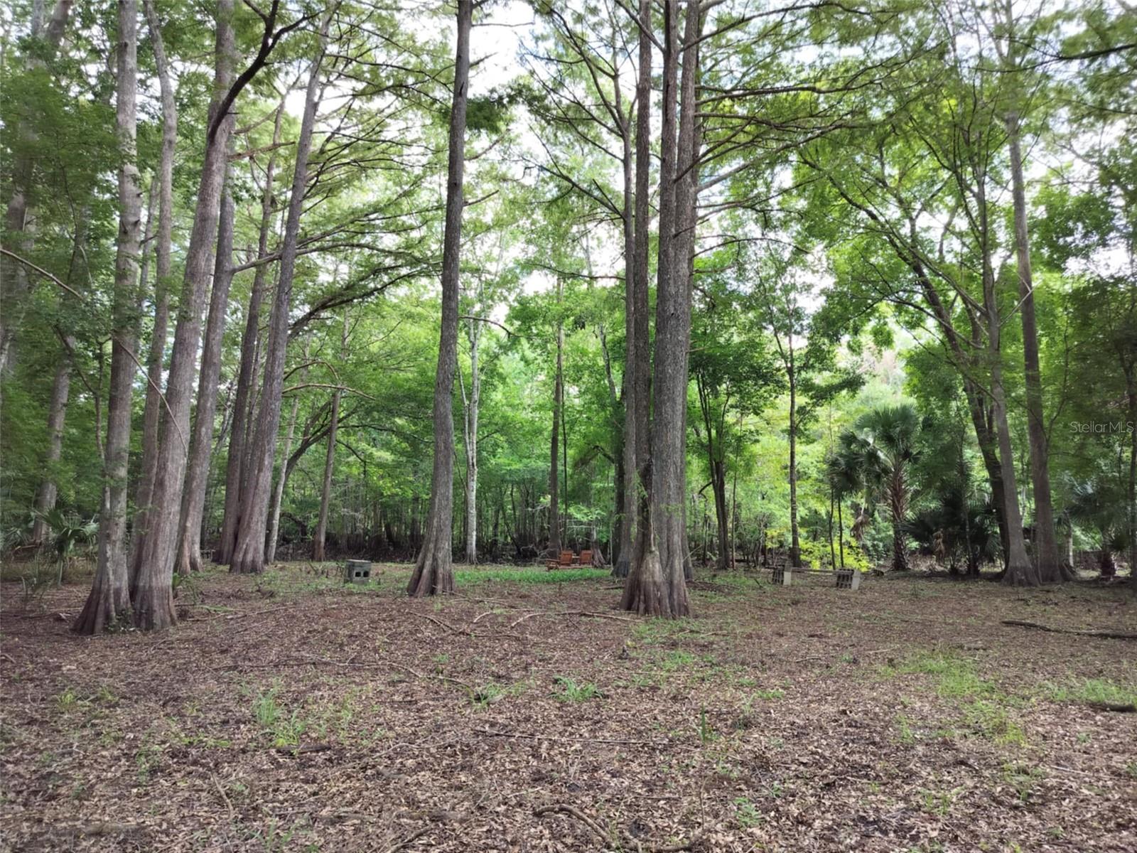 SHERWOOD FOREST UNREC - Land