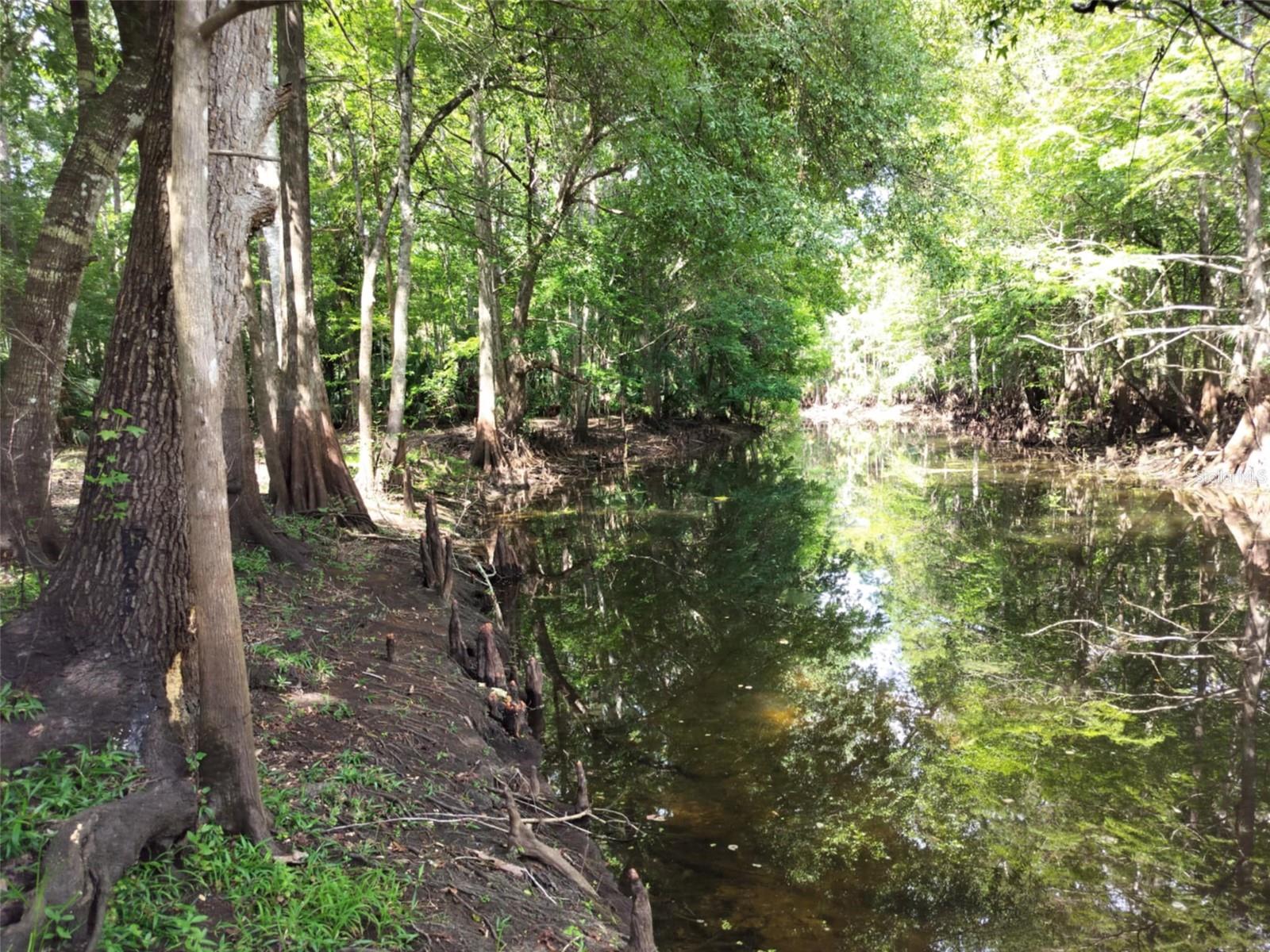 SHERWOOD FOREST UNREC - Land