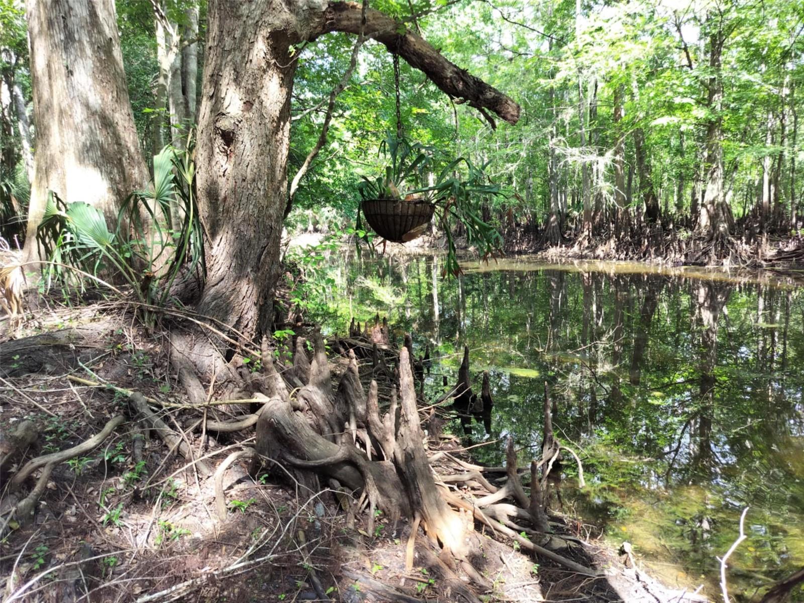 SHERWOOD FOREST UNREC - Land