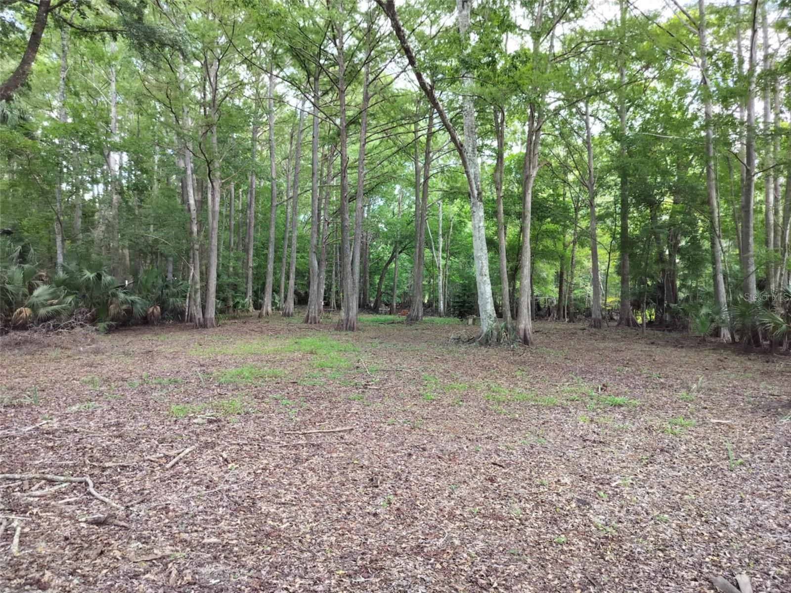 SHERWOOD FOREST UNREC - Land