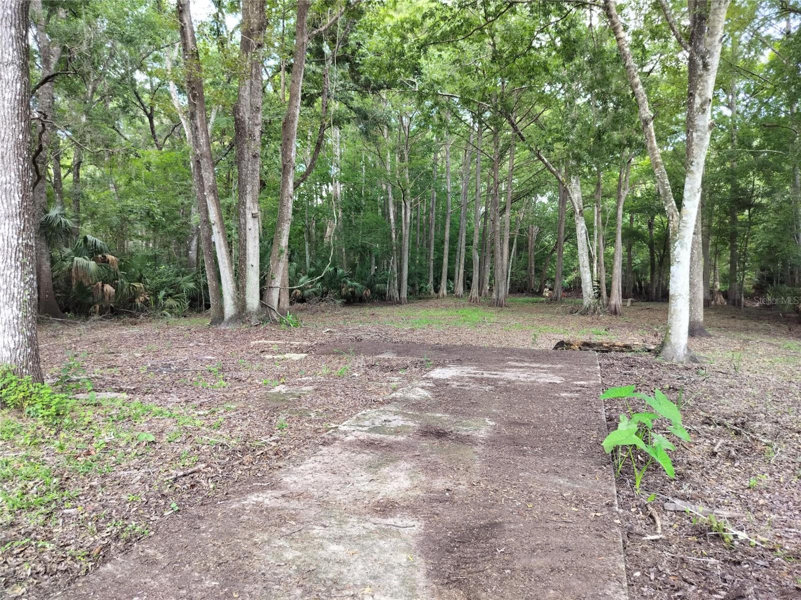 SHERWOOD FOREST UNREC - Land