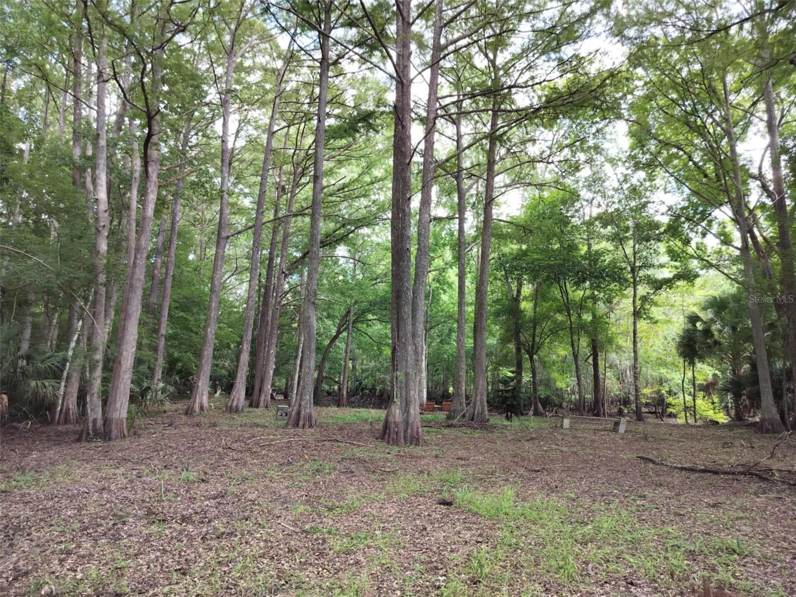 SHERWOOD FOREST UNREC - Land