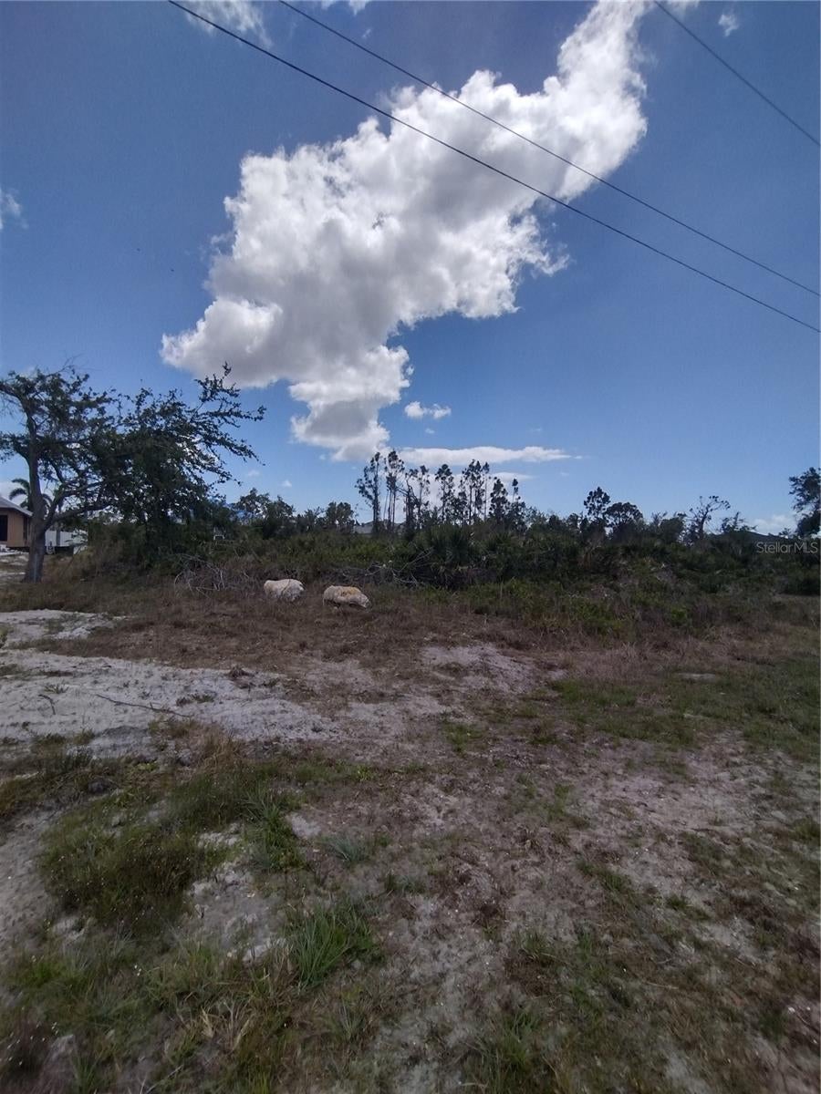 Photo of 9176 Casey Street, Port Charlotte, FL 33981 (MLS # C7532563)