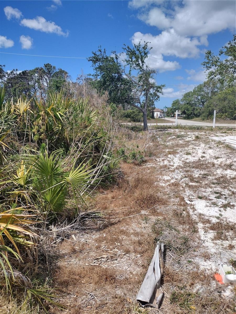 Photo of 9176 Casey Street, Port Charlotte, FL 33981 (MLS # C7532563)