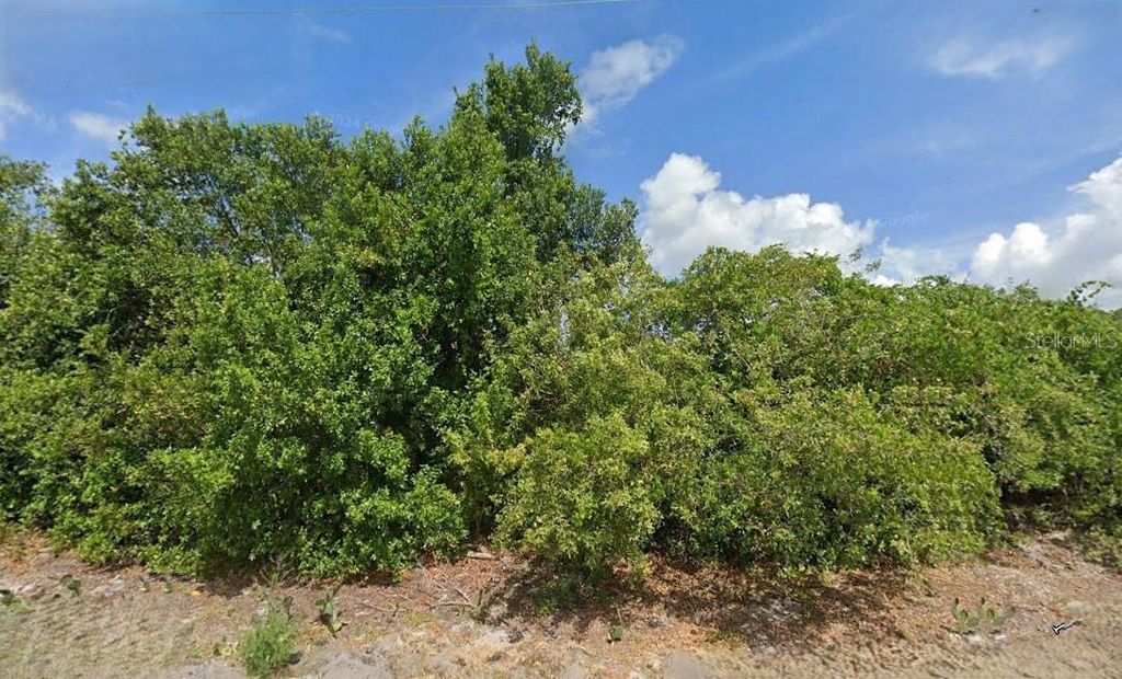 Photo of 1018 Gardenia Street, Lake Placid, FL 33852 (MLS # O6285638)