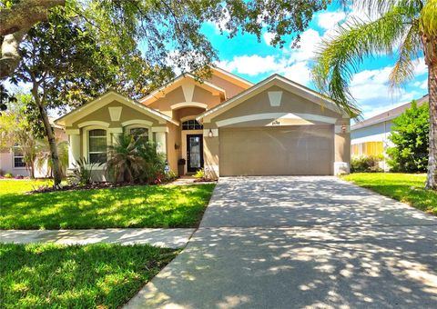 Photo of 2608 Vinedale Avenue, Valrico, FL 33596 (MLS # O6403519)