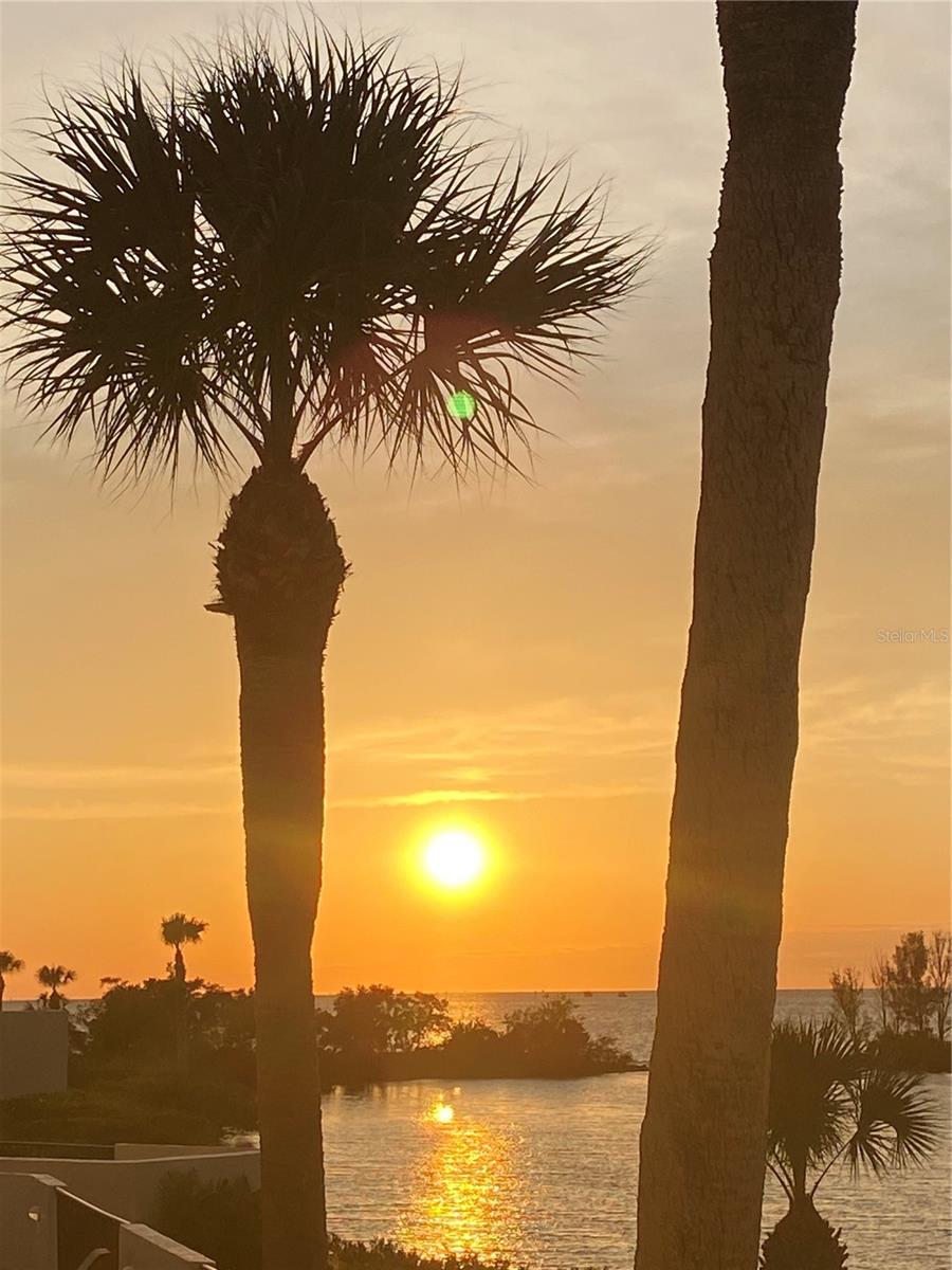 GULF ISLAND BEACH TENNIS - Residential Lease