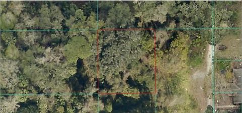 16649 NE 35TH AVENUE CITRA FL 32113