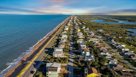 A home in FLAGLER BEACH