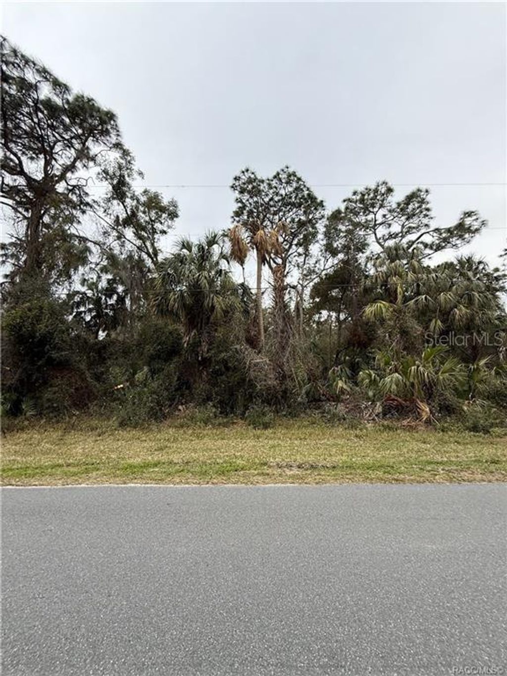 Photo of 9942 W Hawthorne Street W, Crystal River, FL 34428 (MLS # TB8342715)