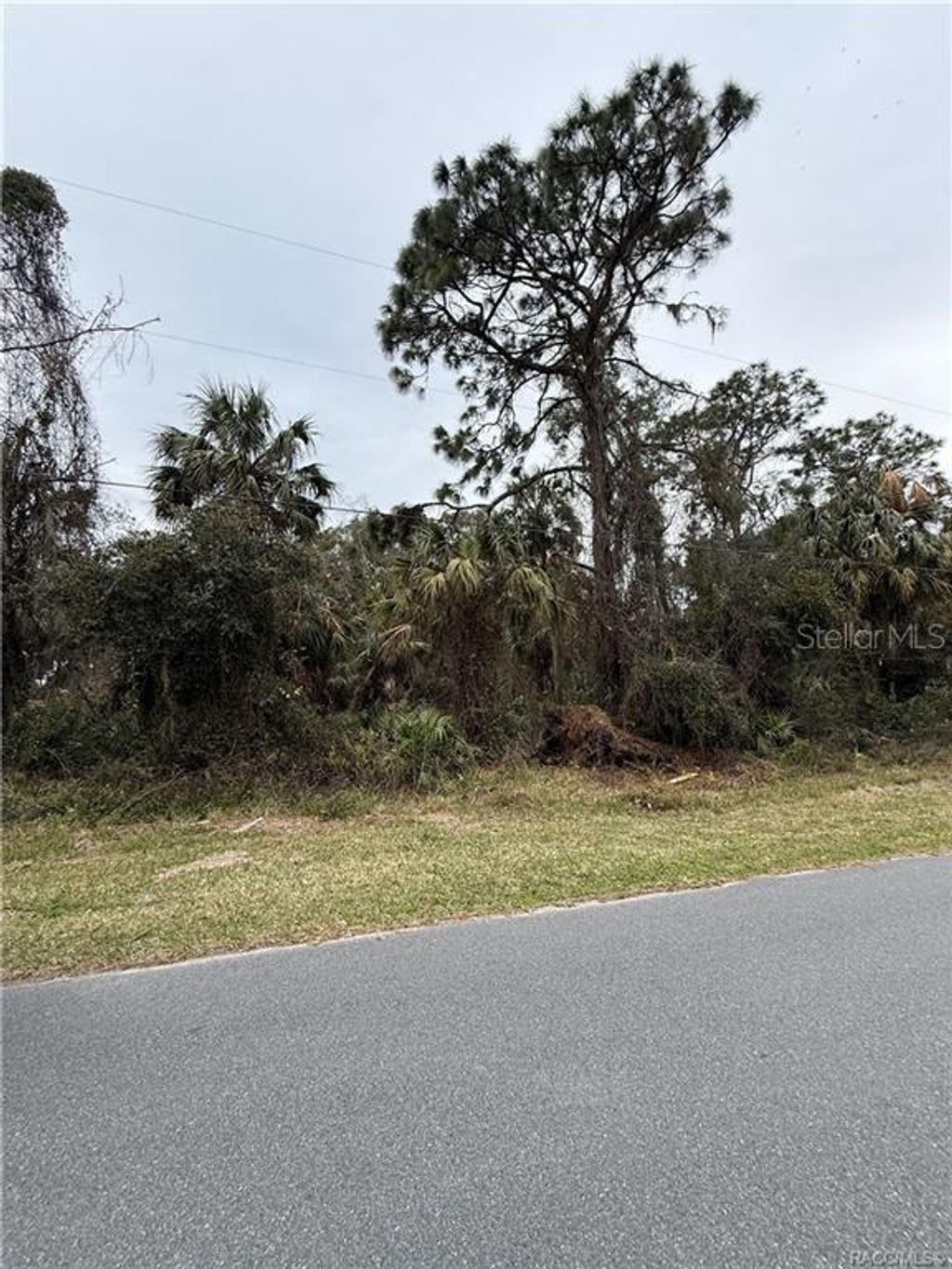 Photo of 9942 W Hawthorne Street W, Crystal River, FL 34428 (MLS # TB8342715)
