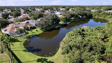 A home in LAND O LAKES